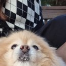 지평농협하나로마트 이미지