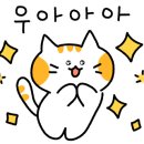 티카페620