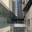 호텔 더 보타닉 세운 명동(B동) 이미지