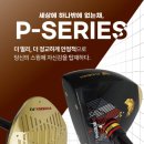 피닉스파크골프 - 북구 첨단과기로208번길 43-10 | 피닉스파크골프