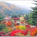 아름다운 아침 이미지