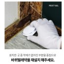 에스엠피 동물약품 주식회사 | 바퀴벌레 박멸, 왜 '페스트세븐겔'인가? 방역 업체 노하우 대공개