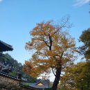 지하철역사 (현충원역) 이미지