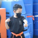 사계절 푸른솔 태권도장 이미지