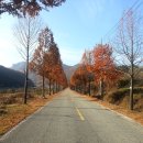 조포 | 진안군 구봉산 등반 1002m (=진안 천황산 천황봉 등산 용담호)