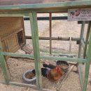 환희목장 이미지