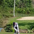 이프로골프아카데미 이미지