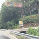 아이랑 즐기는 특별한 강릉체험, 사천동물원 ‘대관령아기동물농장’ 방문 후기