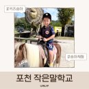작은말학교 별내 | 포천 허브아일랜드 작은말학교｜키즈승마 체험 가격·후기 총정리