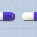 케이엠에스 이미지