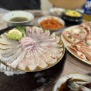 모일회