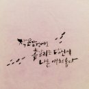 서예&캘리 이미지