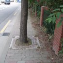 구립 창4동 어린이집 이미지