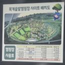 🚩 제목: 충주 목계솔밭캠핑장 A12 대형사이트 후기 (연휴 캠핑, 불멍, 아이와 함께한 캠핑 여행)