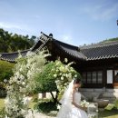 동백8로1 | 용인 효종당 서울 한옥 스몰웨딩 플래너 없이 진행한 후기와 비용
