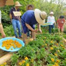 송승현농장 이미지