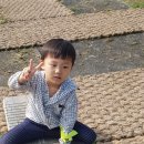 벚우 이미지