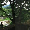반갑소 이미지