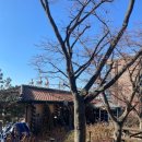 [인천남동구카페] &#39;마크로스터스&#39; 방문후기 (내돈내산)