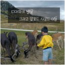 사슴약국 | 퀸즈타운 디어파크 후기 &amp; 밀포드사운드 인근 캠핑장 이동기