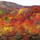 출석방 난장이님 인사글 (11월3일) 이미지