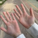 새동래건강생활 | 엄청나다...블로그를 위해 사는 삶인가? 모든행동에 카메라가 따른다📸