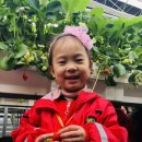 유진농장(2) 이미지