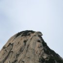 도선사 티스토리