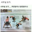 직장인을 위한 요가 이미지