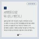 삼성피앤비