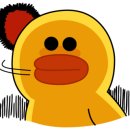 대천펜션 신축동그라미 이미지
