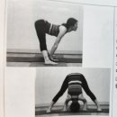그;林 이미지