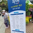 동화사 | 동화사 승시축제 마지막 날 후기