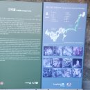 고씨굴 관광지 | 영월 여행 필수 코스, 고씨굴 직접 다녀온 솔직 후기