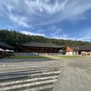 운림삼별초공원(한옥체험1) | [진도여행] 진도 운림삼별초 공원 고즈넉한 한옥펜션에서 가을 감성 힐링을 만끽해보세요..