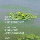 석이님 저도 왔어요 이미지