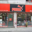 새미용실 Daum카페