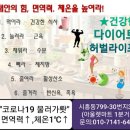 열매점핑허브다이어트