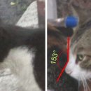 성동구청 뒤편 이미지