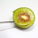 호돌이농장 이미지