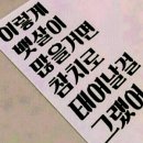 더오징어더참치 이미지