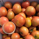 가정3-02-010 이미지