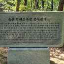 남목 목관비 이미지