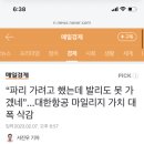 발리도 못 가겠네”...<b>대한항공</b> 마일리지 가치 대폭 삭감
