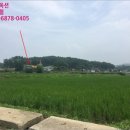 충주경찰서 금가파출소 네이버블로그