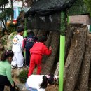 부광 유치원 이미지