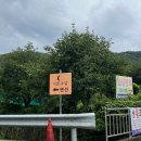 장성군 수영장 주차장 이미지