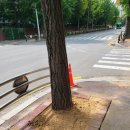 하안2동 행정복지센터 이미지