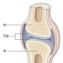 화인탑약국 이미지
