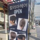 헤어칼리아 이미지